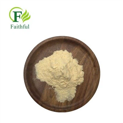 Clorhidrat d'irinotecà en pols CAS 100286-90-6