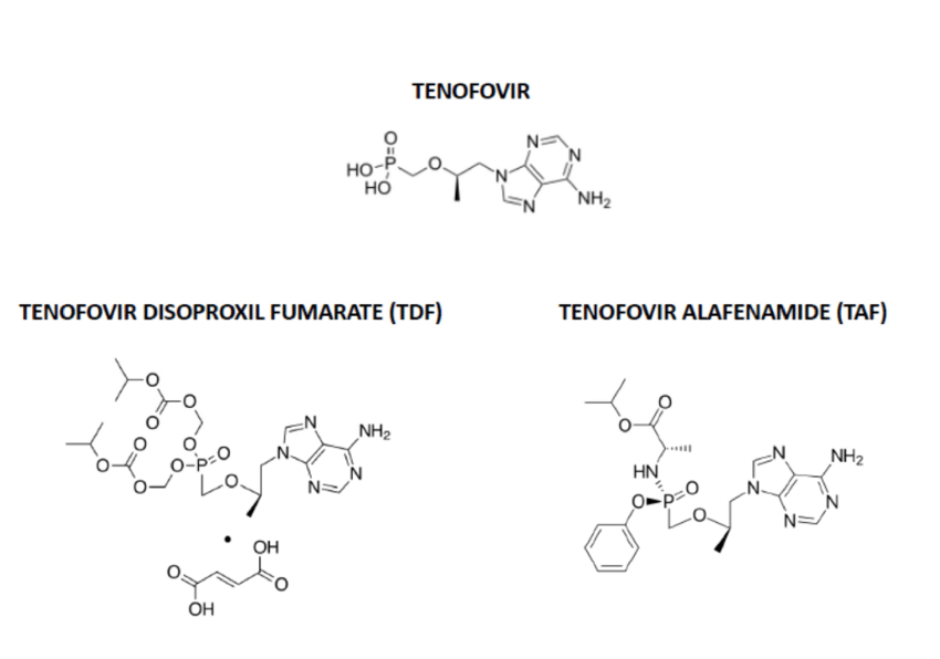 Tenofovir Alafenamide Tenofovir Alafenamide