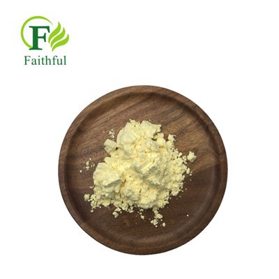 Baicalin Powder Cas 21967-41-9