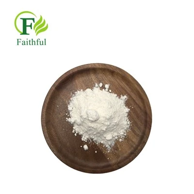 Ciprofloxacina Clorhidrat USP CAS 93107-08-5